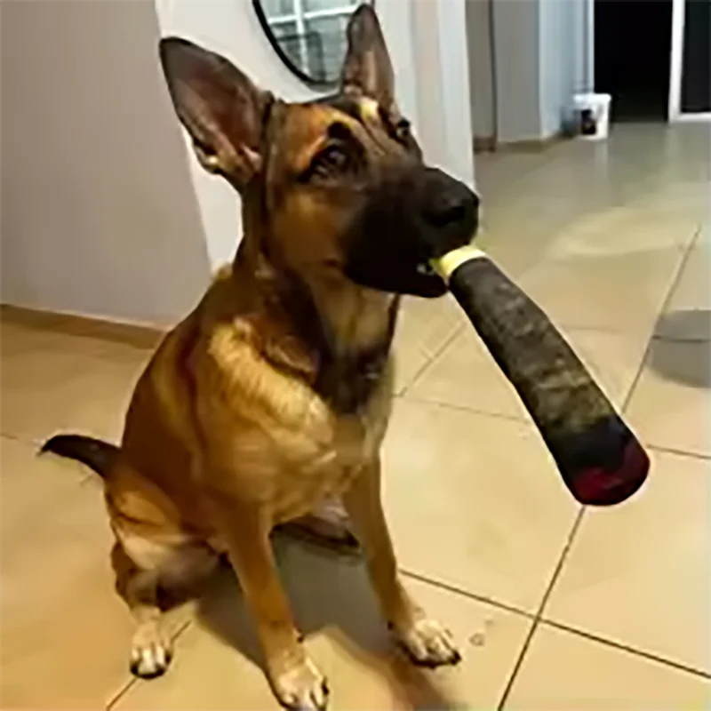 Plüschtier in Zigarrenform für Hunde – lustig und quietschend
