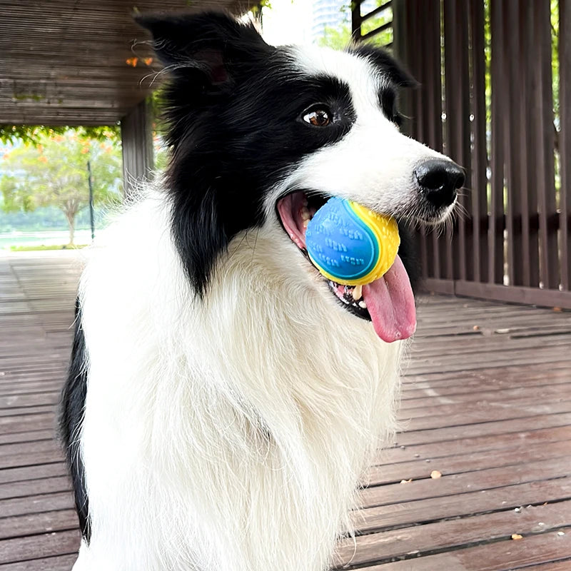 Interaktiver TPR-Ball für Hunde – Dentalspielzeug zur Zahnreinigung